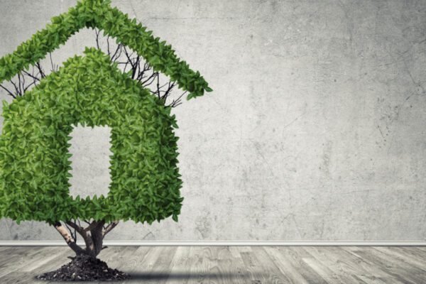 Joe Cianciotto Provides a Brief Introduction to Green Buildings Joe Cianciotto